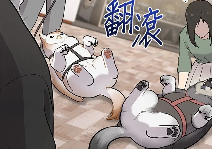 第522页