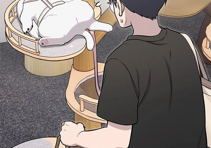 第414页