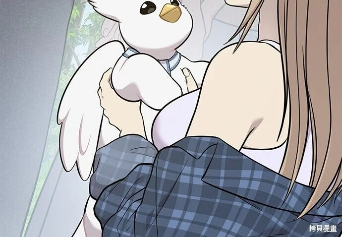 第558页