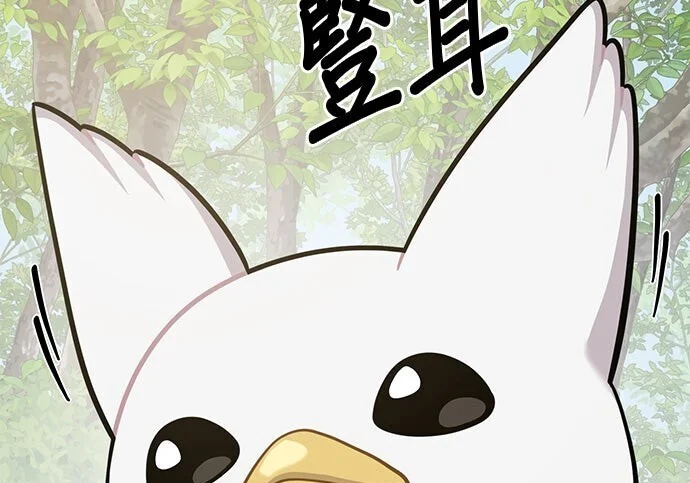 第306页