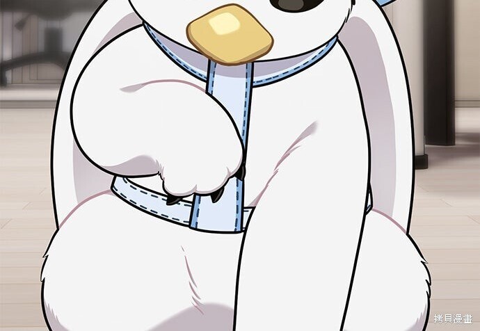 第213页