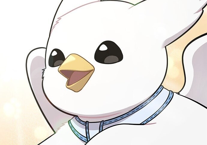 第408页