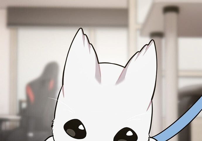 第210页