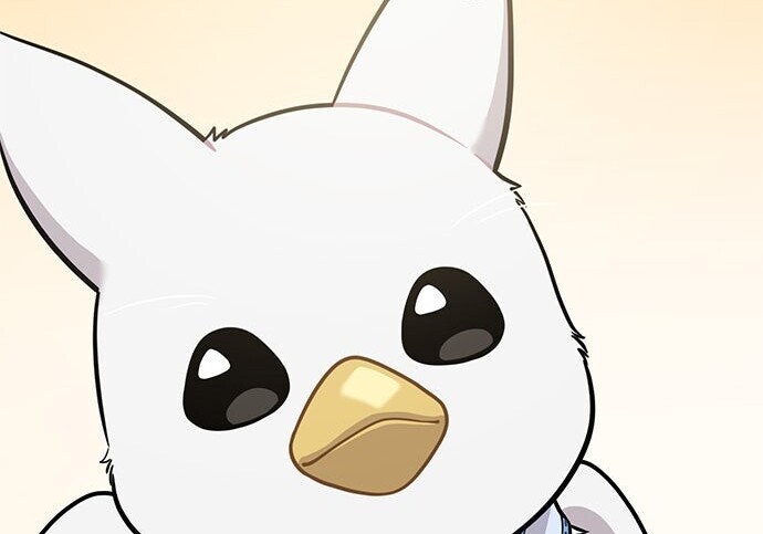 第243页
