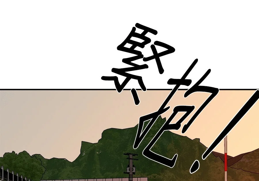 第804页