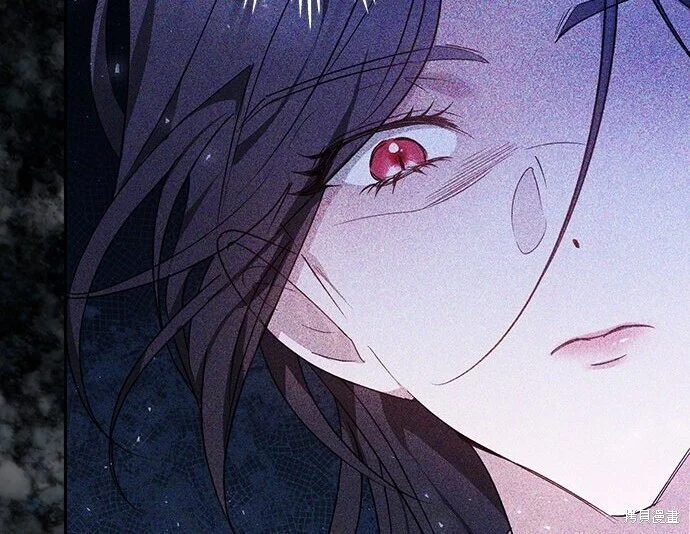 第558页