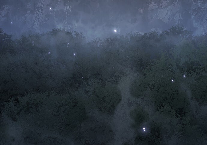 第217页