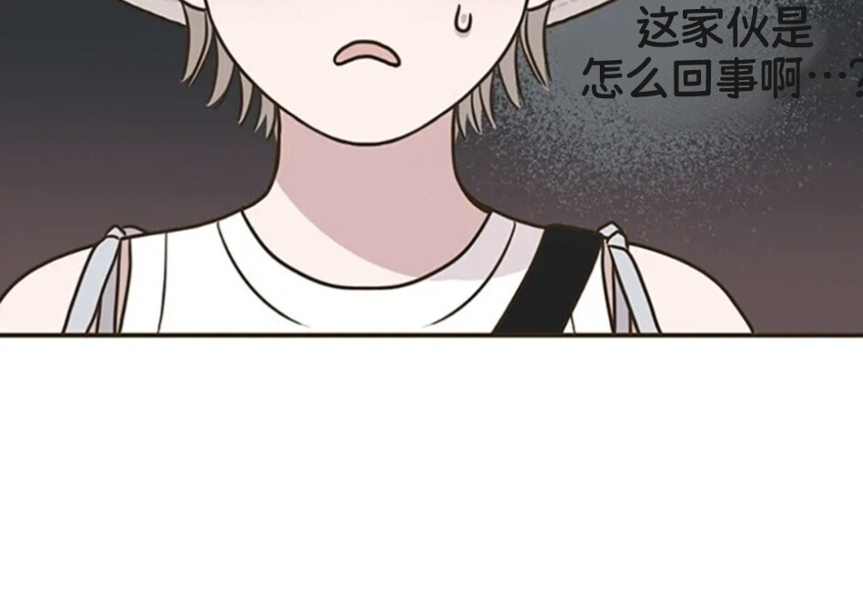 第291页