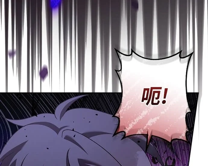 第255页