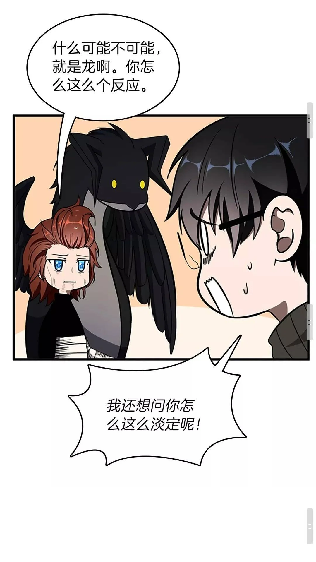 第204页