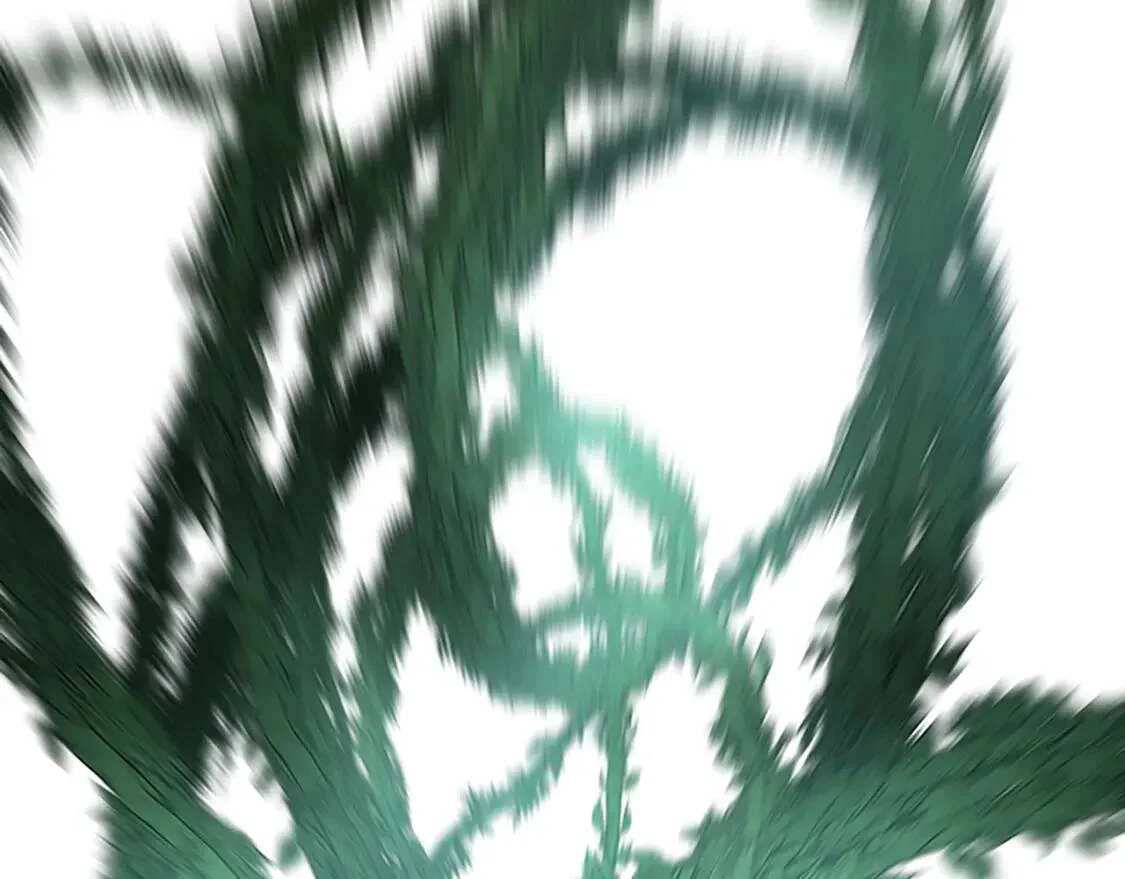 第639页