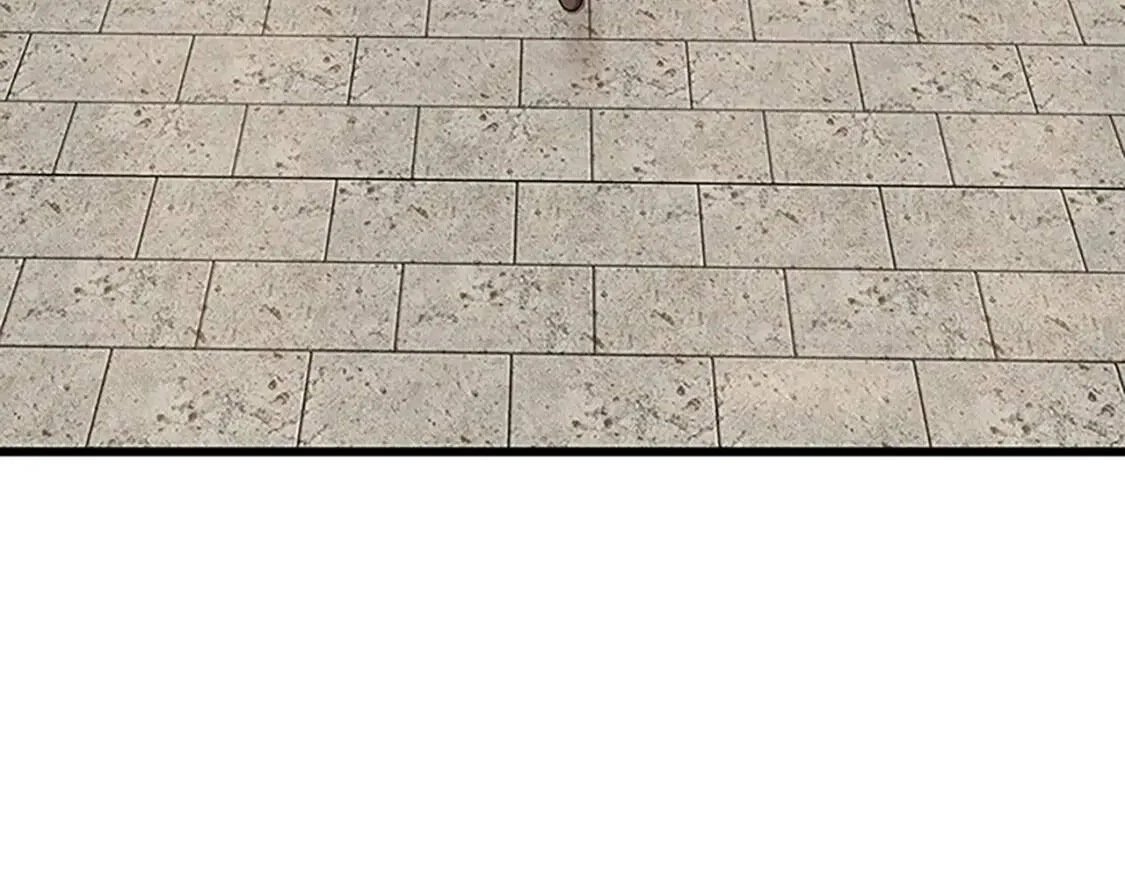 第240页