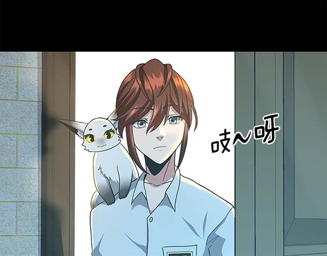第507页