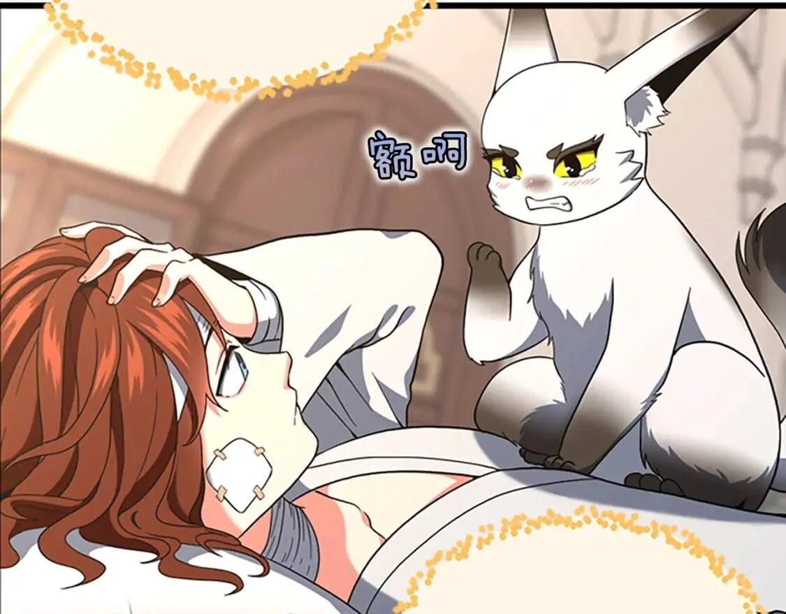 第504页