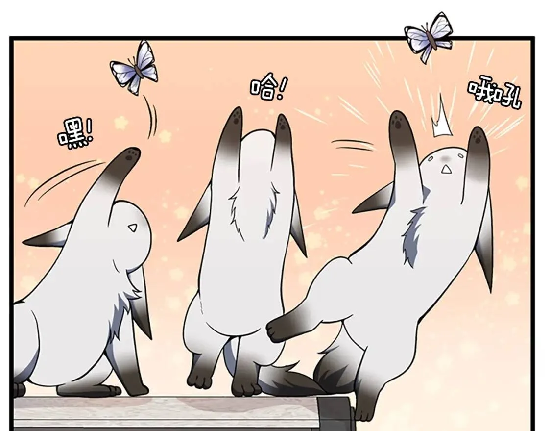 第492页