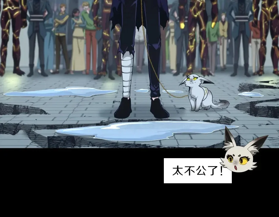 第216页