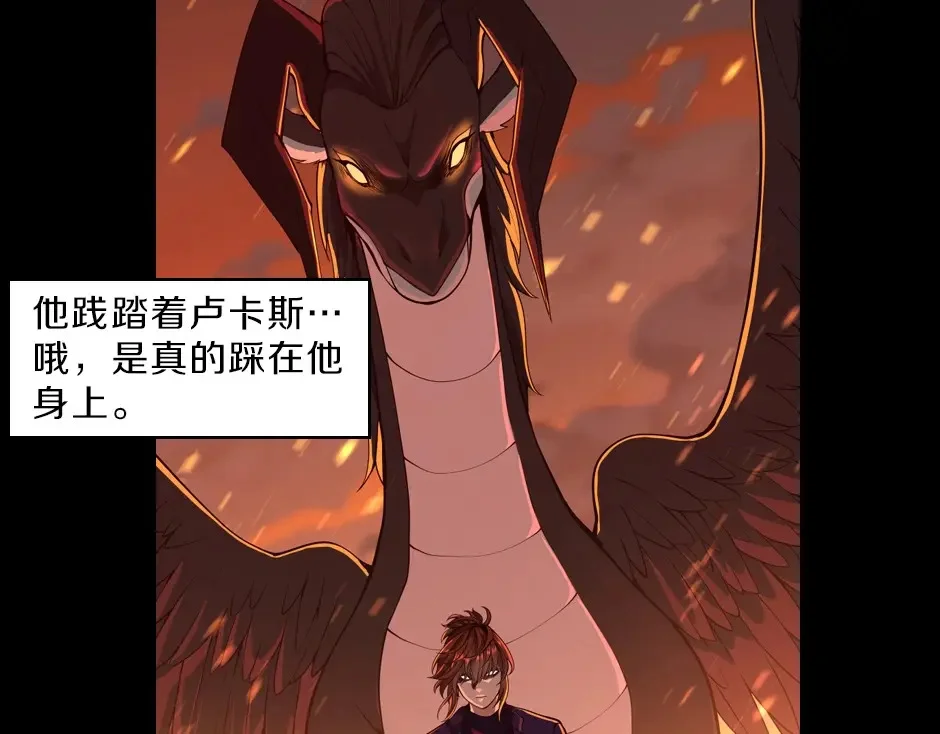 第207页