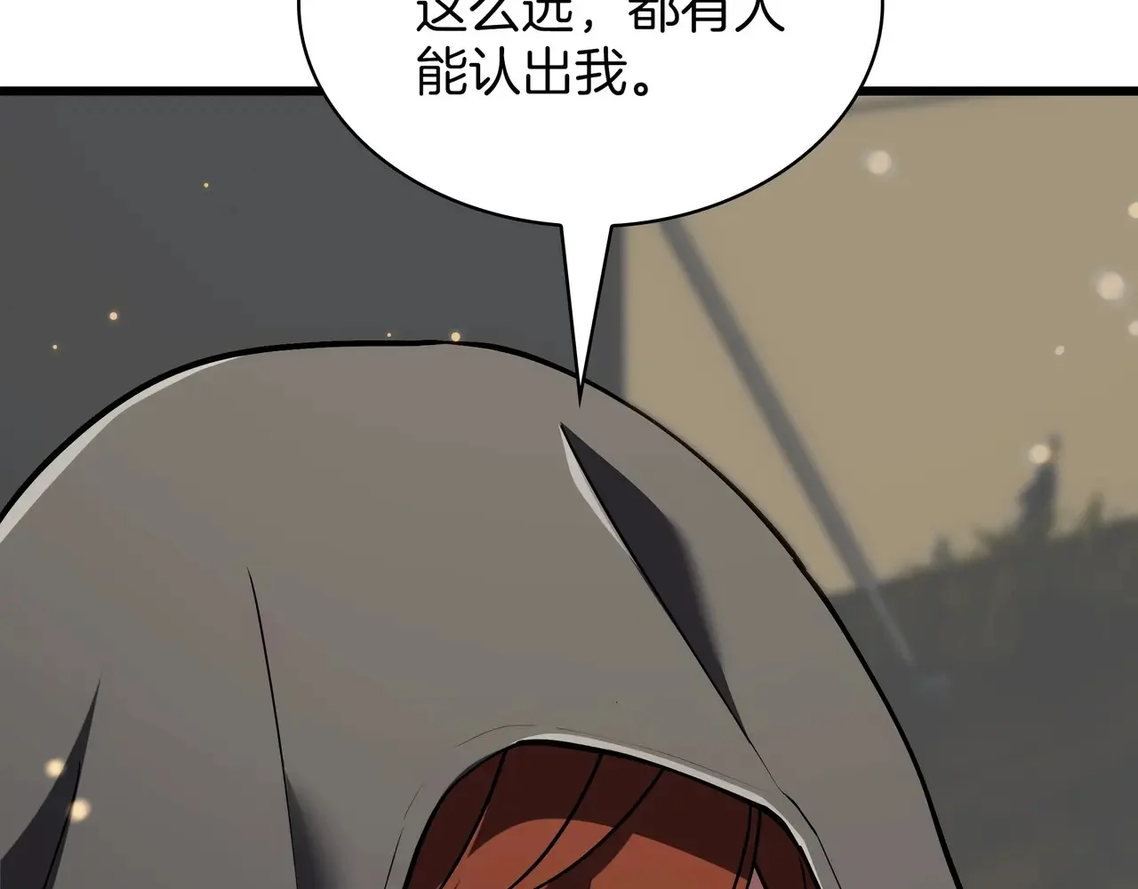 第810页