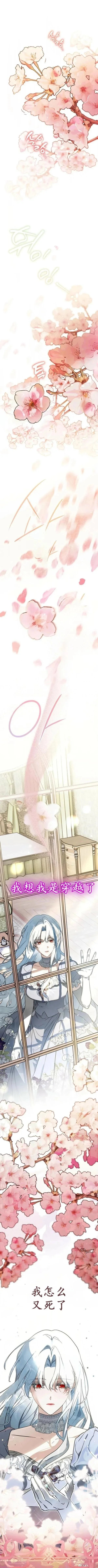 第0页