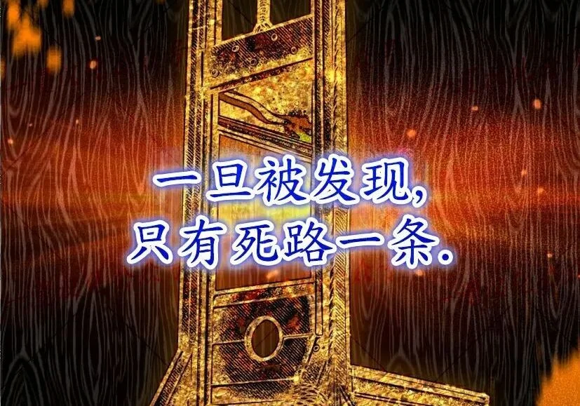 第339页