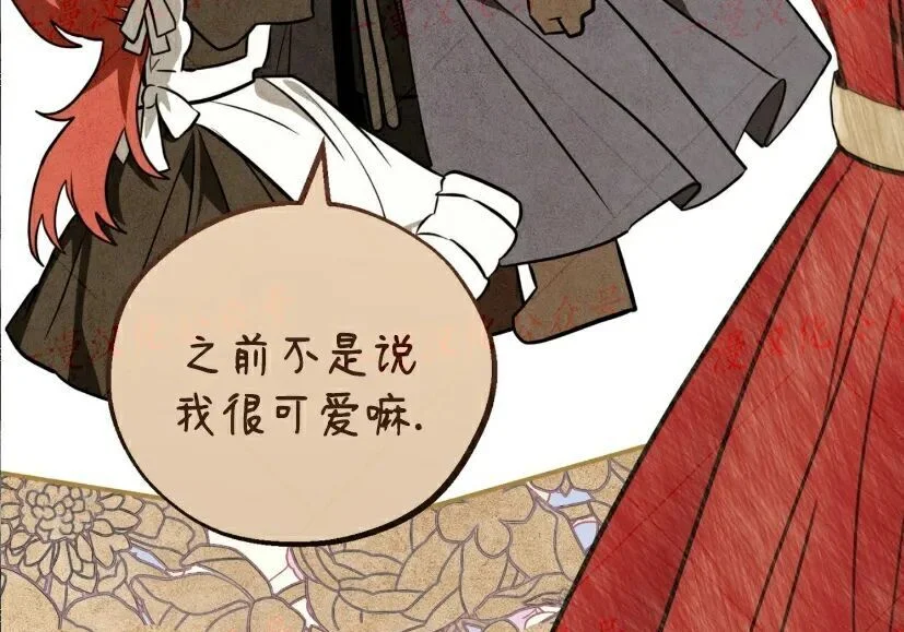 第216页