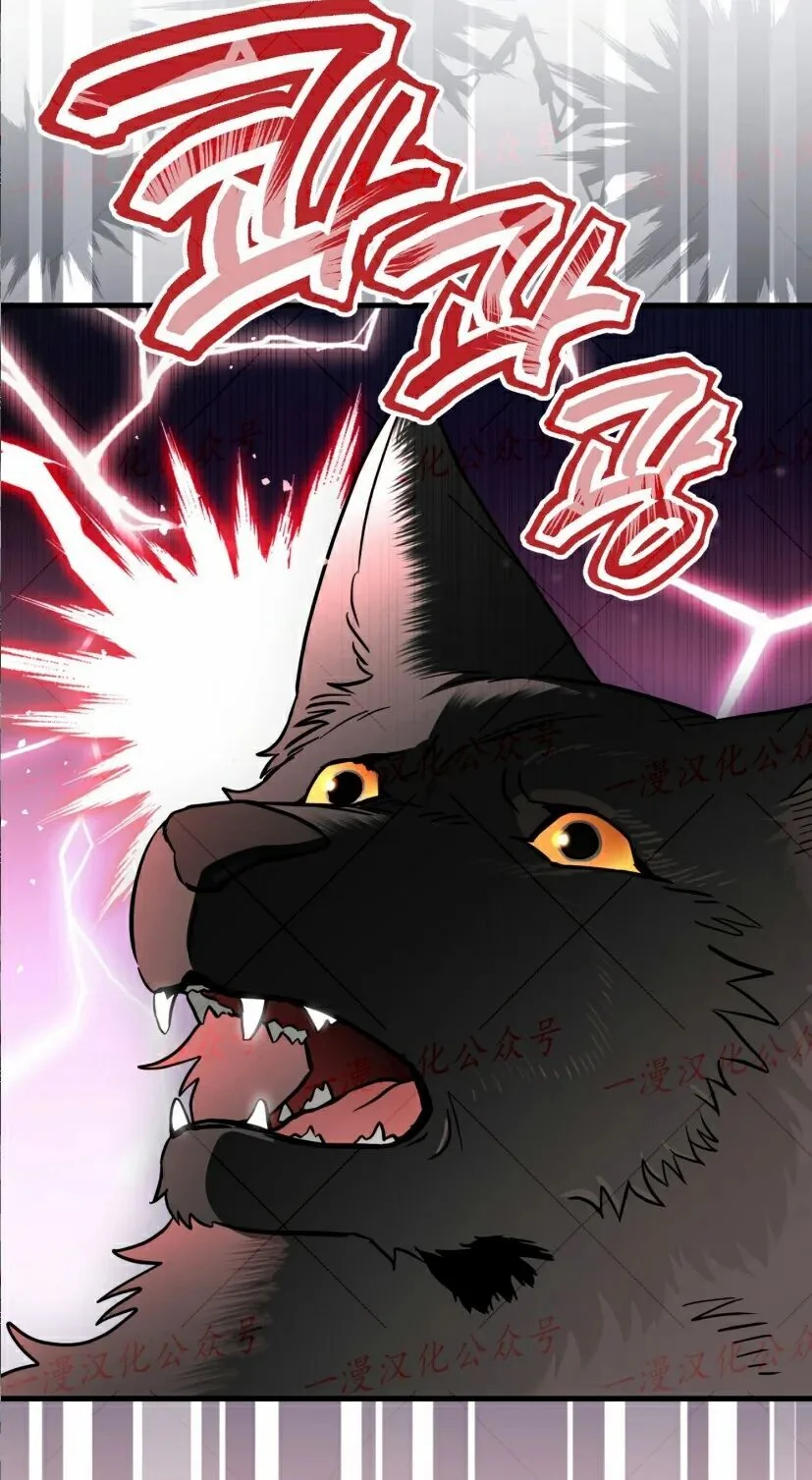 第519页