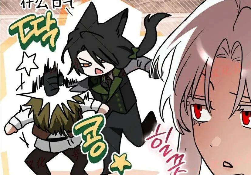 第204页