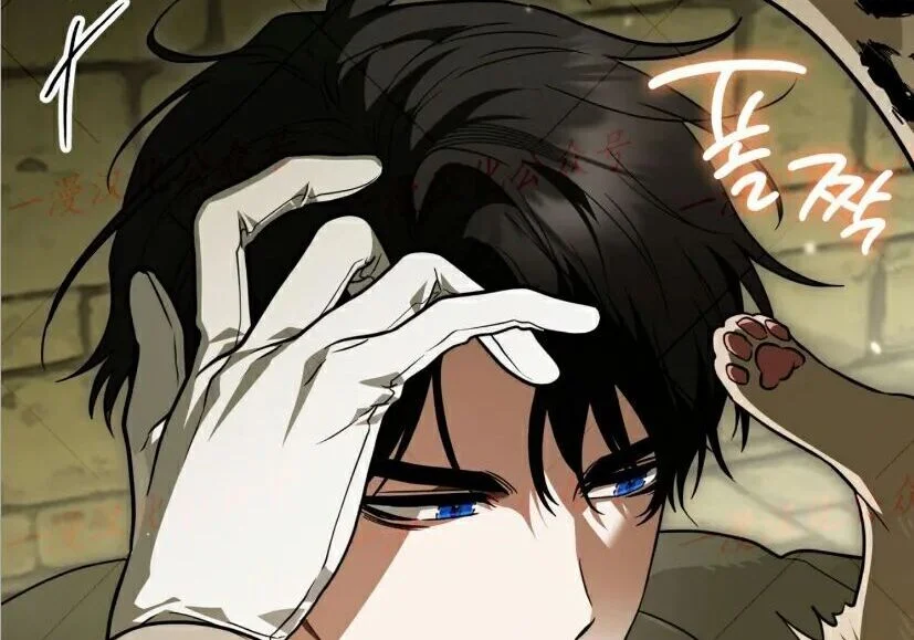 第786页