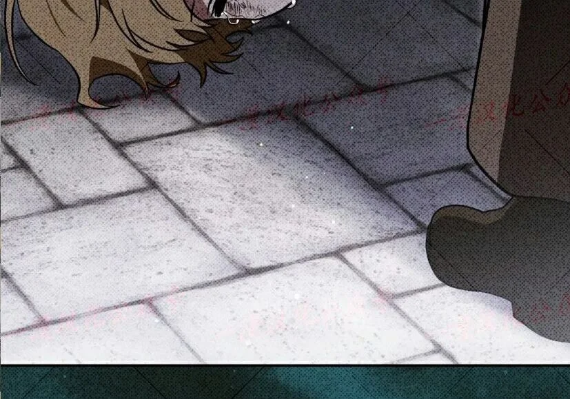 第216页