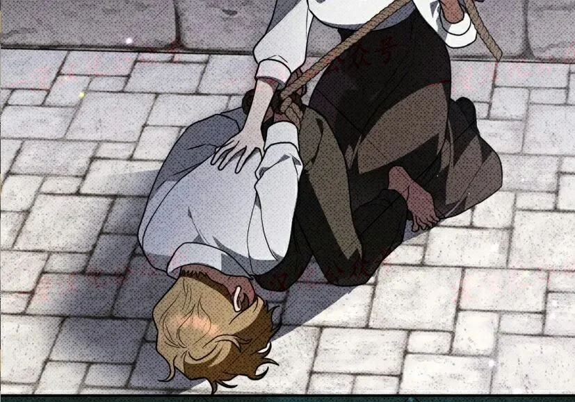 第210页