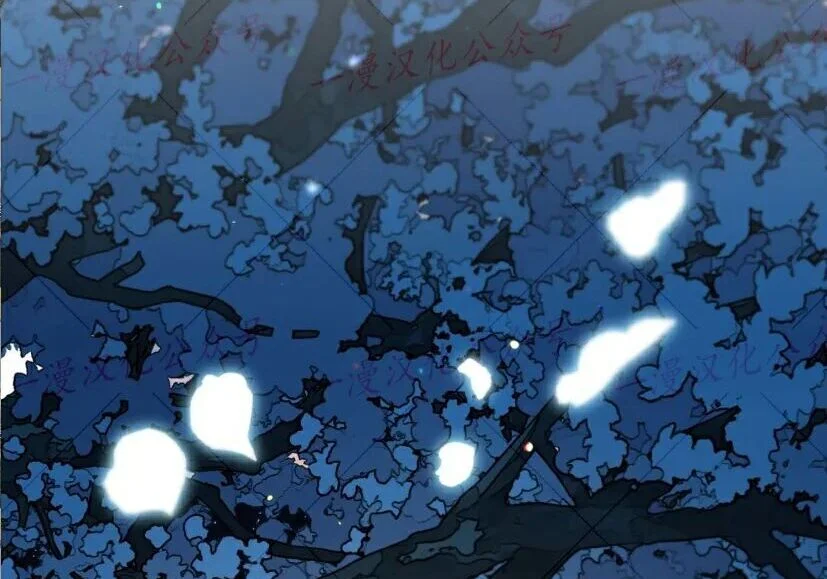第507页