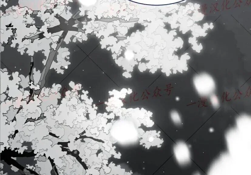 第540页