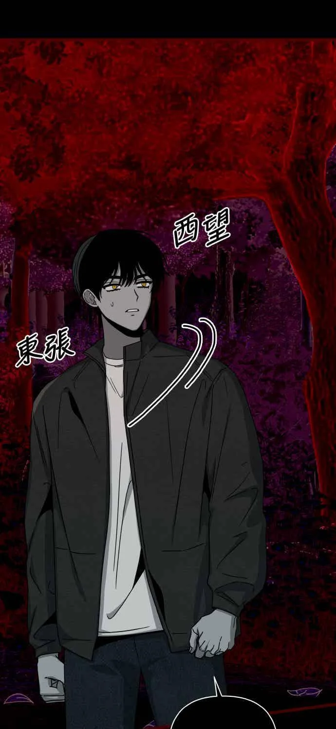 第234页