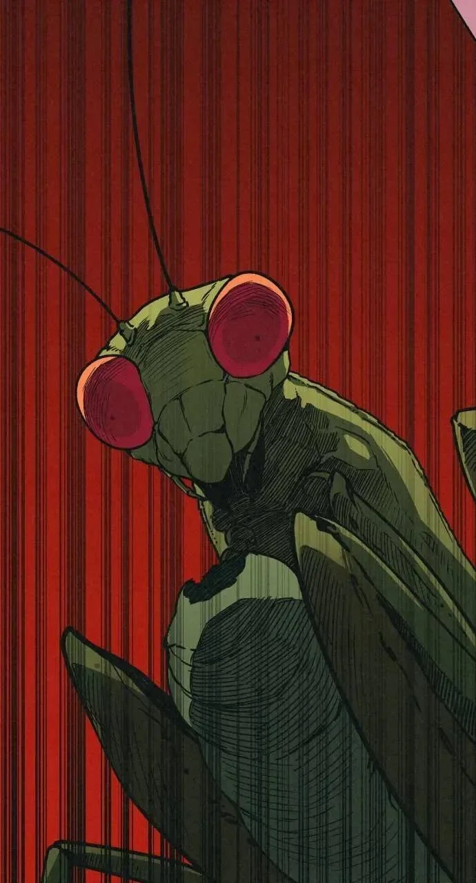 第333页