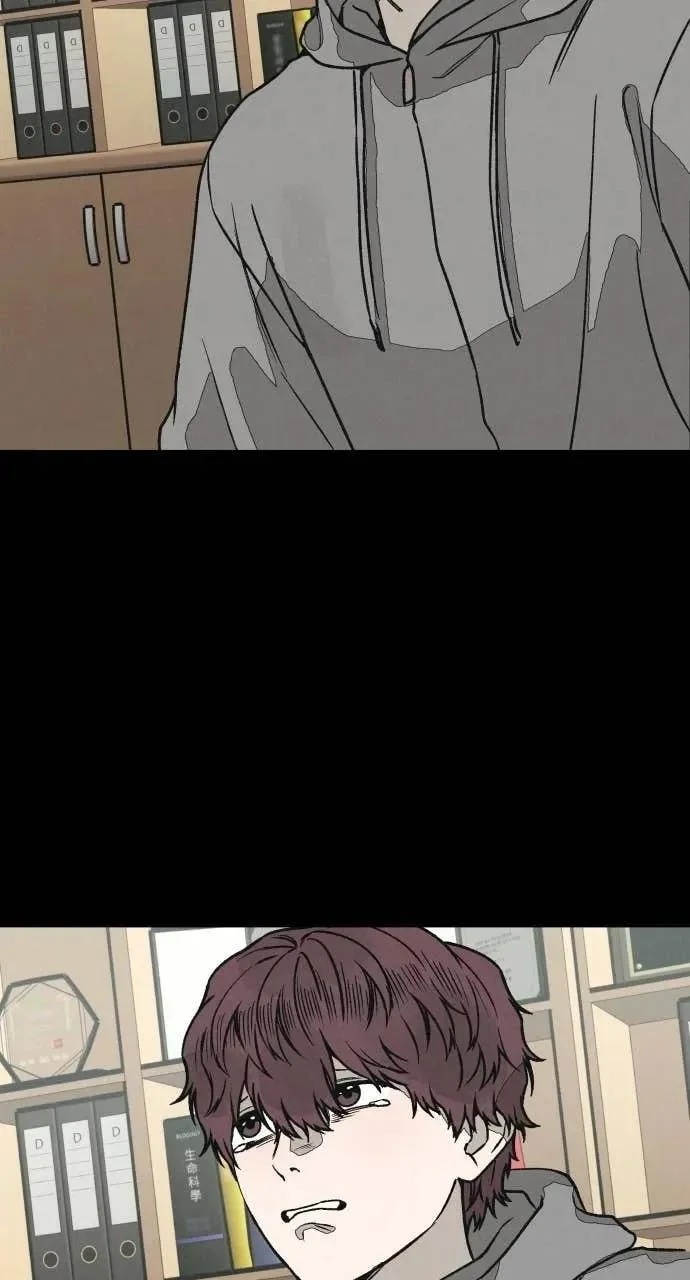 第339页