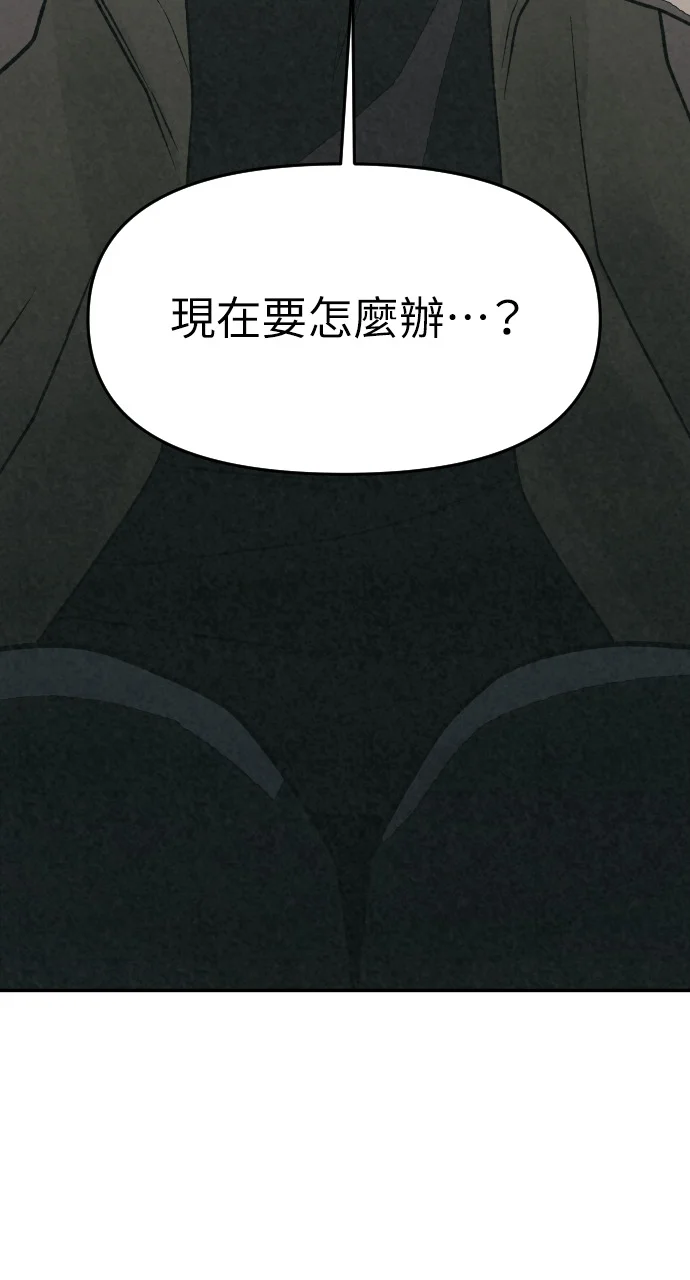 第282页