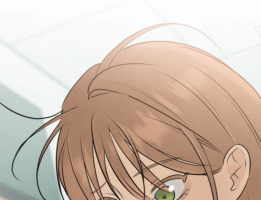 第381页