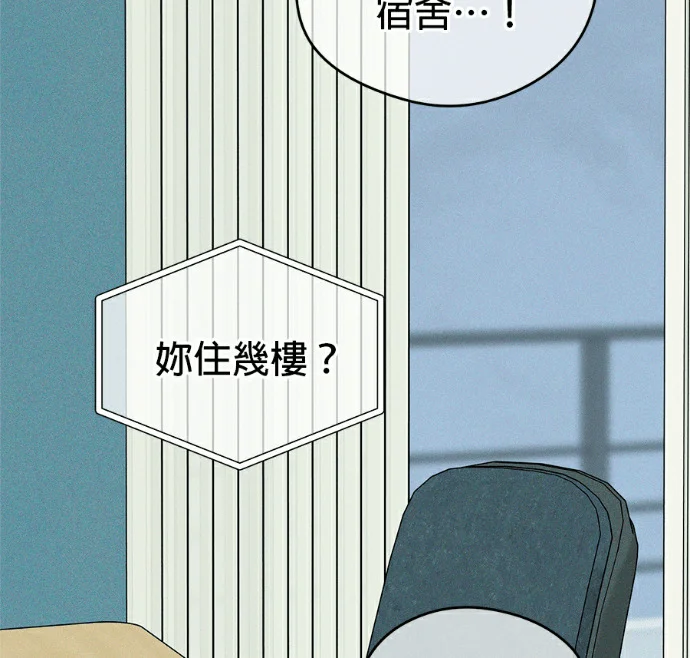 第204页