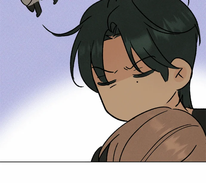 第456页