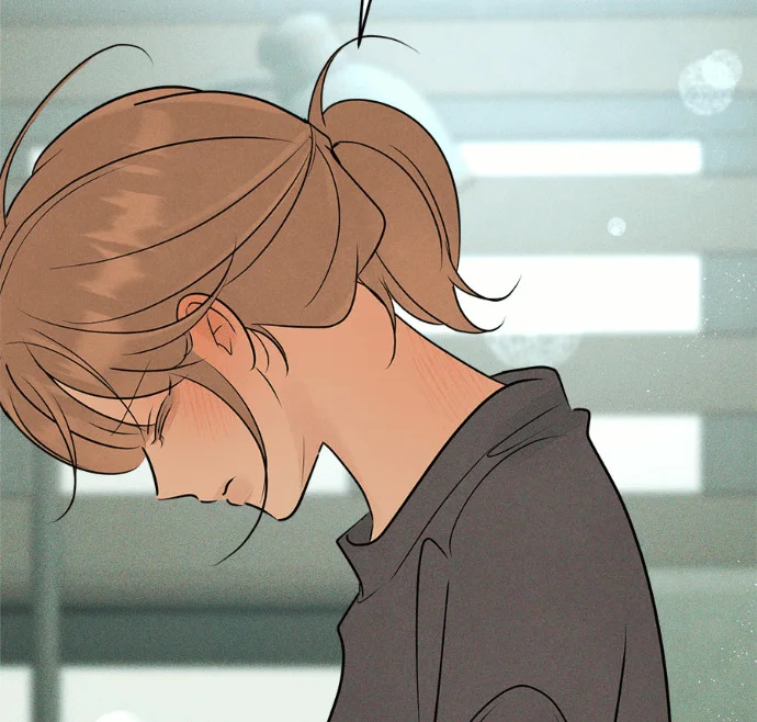第243页