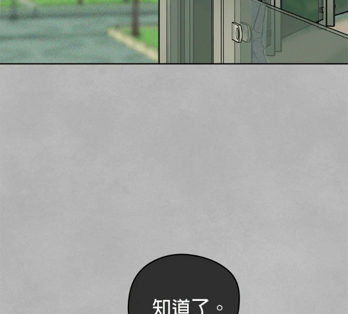 第333页