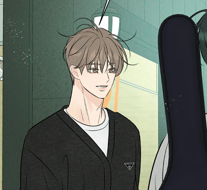 第333页