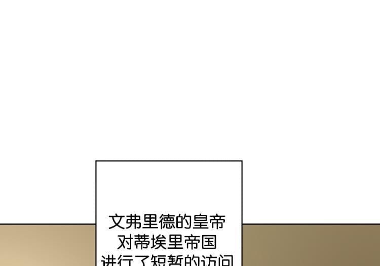 第243页
