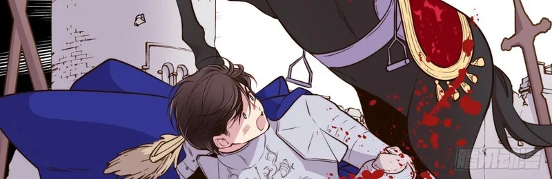 第216页