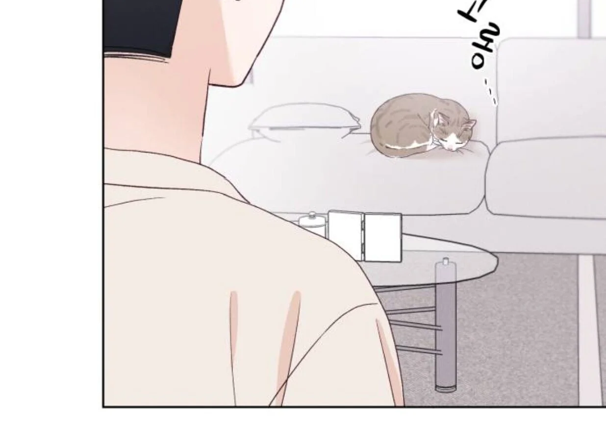 第453页