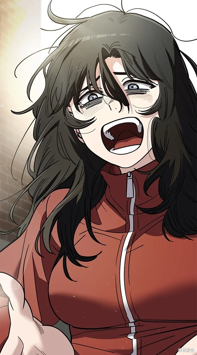 第231页