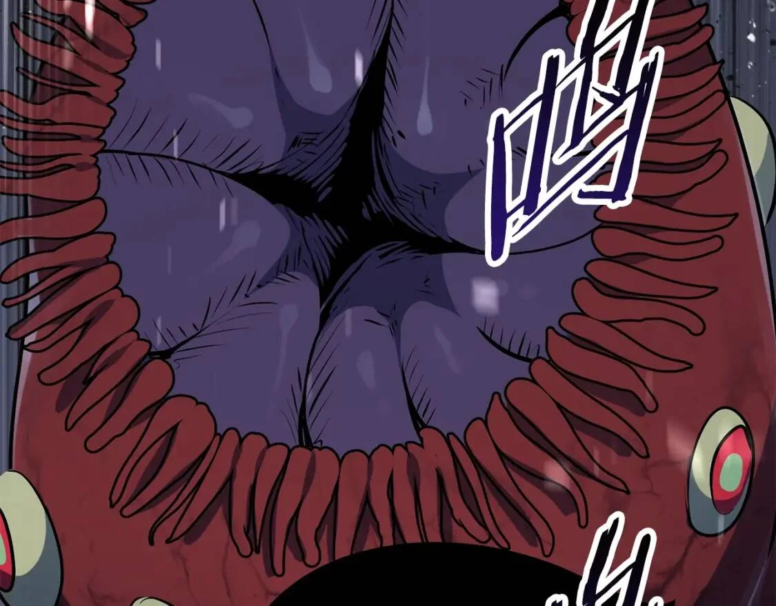 第234页