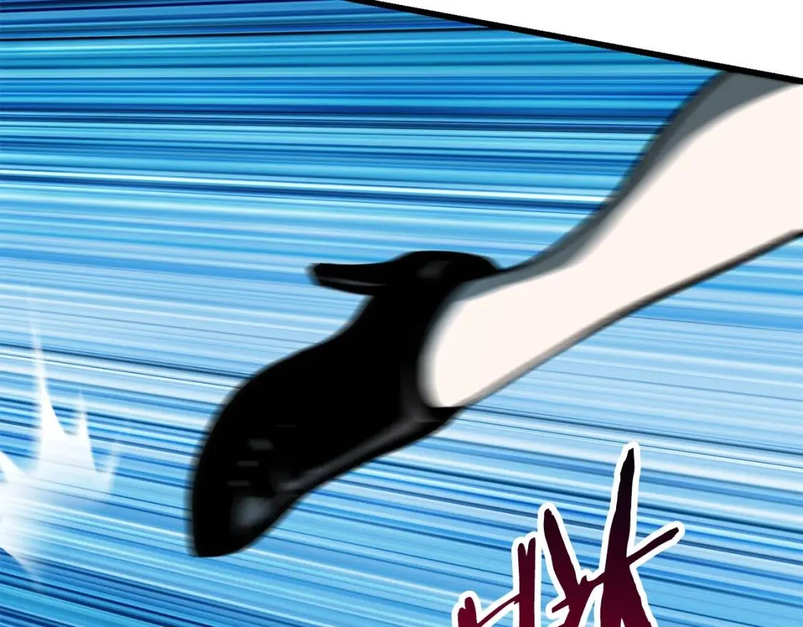 第258页