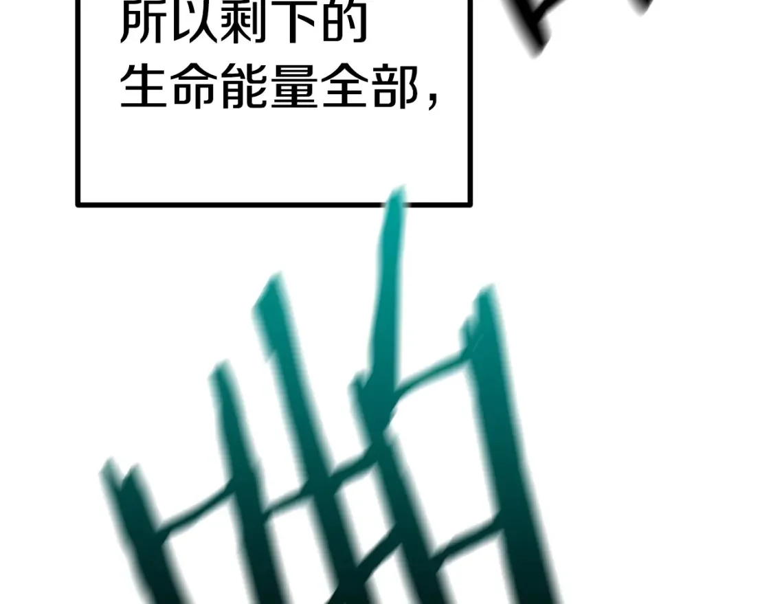 第258页