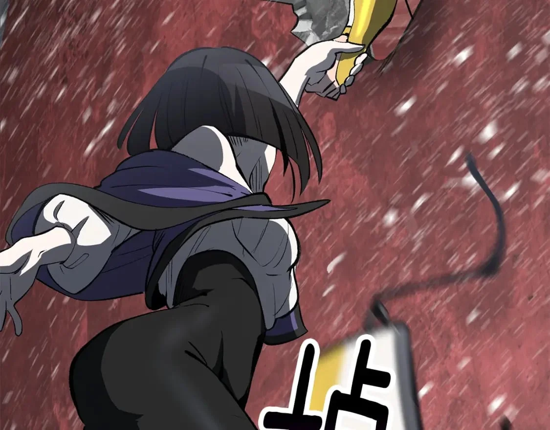 第558页